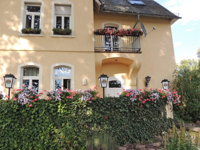 Das Schnitzels - Ansicht aus dem Biergarten