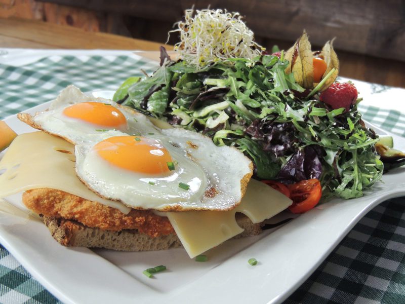Schnitzels Max