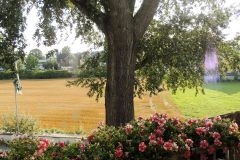 Schnitzels-limburg-Ambiente-Ausblick